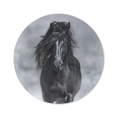 Produktbild von MuchoWow® Mauspad Mousepad Pferd - Schwarz - Smoke 30x30 cm - Mousepads - Maus Mat - Pad - Mausunterlage - Tischunterlage - Schreibtischmatten