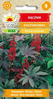 Zdjęcie produktu dla Rącznik KASZTANOWIEC Nasiona kwiatów - 630 Toraf