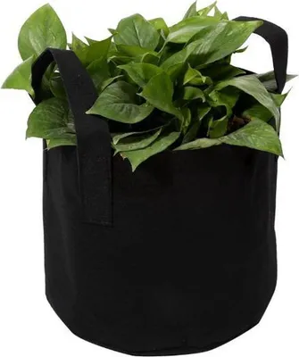 Immagine prodotto di Jumada's – "Sacchetti per la coltivazione di patate, carote e pomodori – Sacchetti per la coltivazione – Sacchetti per piante – Coltivate i vostri ortaggi – Vaso/contenitore per coltivazione – Vaso da taglio – Serra – Supporto per piante – Nero