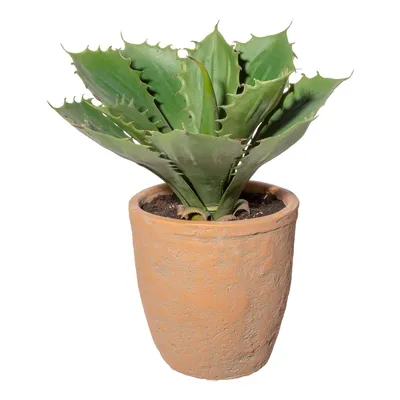 Obrázok produktu pre Umelá rastlina sukulent echeveria zelená 25 cm v terakotovom kvetináči 14,5x14,5 cm so zeminou