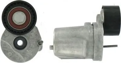 Zdjęcie produktu dla Napinacz paska wieloklinowego SKF VKM 38339