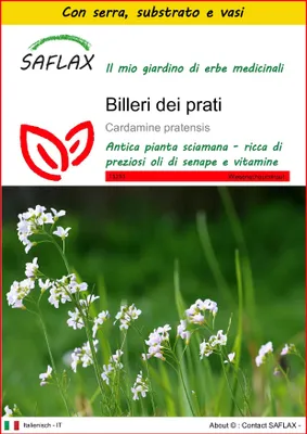 Immagine prodotto di SAFLAX Insieme di coltivazione - Billeri dei prati - 100 semi - Cardamine