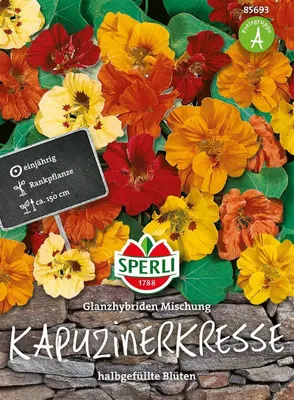 Produktbild von Kapuzinerkresse ''Glanzhybriden Mischung ''