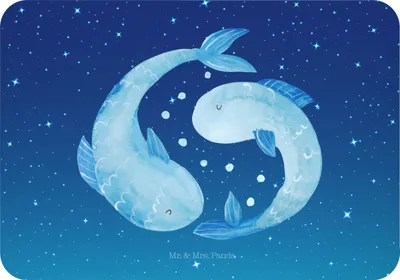 Produktbild von Mr. & Mrs. Panda Magnet Sternzeichen Fische - Sternenhimmel Blau - Geschenk, Geburtstag März, whiteboardmagnet, haftmagnet, Februar, zettelhalter, Sternbild, Fisch