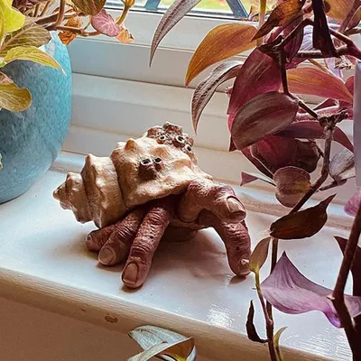 Imagen del producto de Adorno de caracol con forma de dedo, ideal para decoración de Halloween, accesorio de terror. Modelo de resina de caracol con forma de mano, para decoración interior y exterior