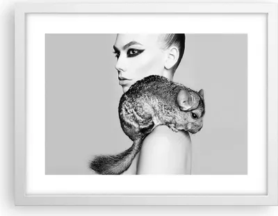 Produktbild von Gerahmtes Poster - Weißer Rahmen - Chinchilla Frau Porträt - 40x30 cm - Wand Bild - Wanddeko - Wandbilder - Kunstposter - Wandposter - Bilderrahmen - Bilder - Kunstdruck - Wandbild - P2WAA40x30-4278
