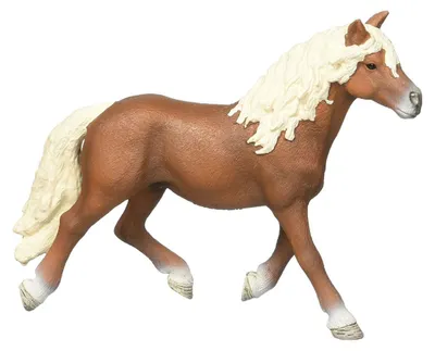 Produktbild von Schleich 13813 - Horse Club - Spielfigur, Haflinger Hengst (00711)