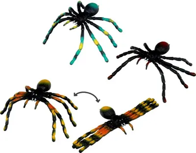 Produktbild von Coppenrath Verlag GmbH & Co.KG Biege-Spinne Sonstige