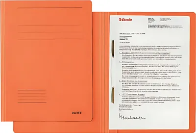 Immagine prodotto di Leitz 3003-00-45 3003 Raccoglitore a fogli mobili Fresh - A4, 250 fogli, pinzatura, cartone (RC), arancione