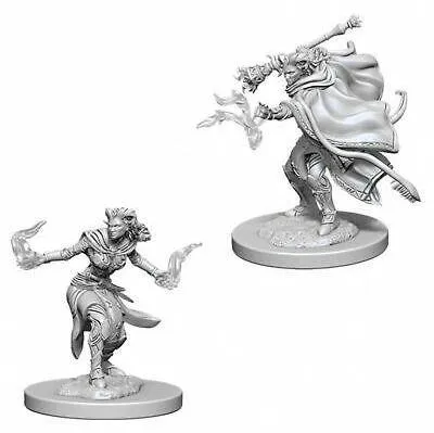 Image de Donjons & Dragons - Miniatures Marvelueuses de Nolzurs - Démoniaque Femelle Warlock