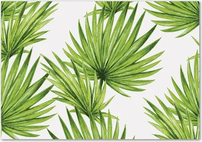 Produktbild von Tulup® Glas-Bild - 100 x 70 - Wandbild aus Glas - Wandkunst - Wandbild hinter gehärtetem Sicherheitsglas - Blumen & Pflanzen - Tropische Blätter - Grün