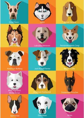 Immagine prodotto di YAZZ Puzzle Cani 1000 pezzi