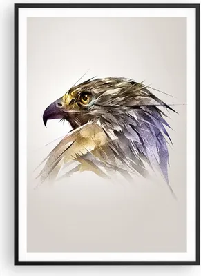 Produktbild von Gerahmtes Poster - Schwarzer Rahmen - Adler Vogel Feder - 70x100 cm - Wand Bild - Wanddeko - Wandbilder - Kunstposter - Wandposter - Bilderrahmen - Bilder - Kunstdruck - Wandbild - P2BPA70x100-3936