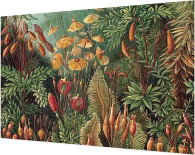 Zdjęcie produktu dla Tapeta ścienna – tapeta dekoracyjna do salonu – folia tapetowa do dekoracji ścian – 104 x 70 cm – Egzotyczny ogród