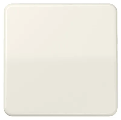 Image de Jung Bascule ws pour bouton-poussoir CD 590