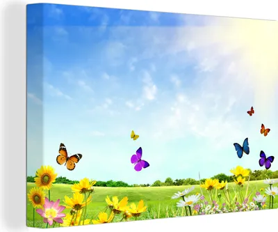 Produktbild von OneMillionCanvasses® - Leinwandbilder - 140x90 cm, Blumen - Schmetterlinge - Sommer, Wandbilder Kunstdruck Wanddekoration