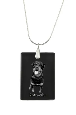 Image de Rottweiler - Pendentif en cristal avec chien, collier en argent avec photo, pendentif personnalisé de la marque Art-Dog