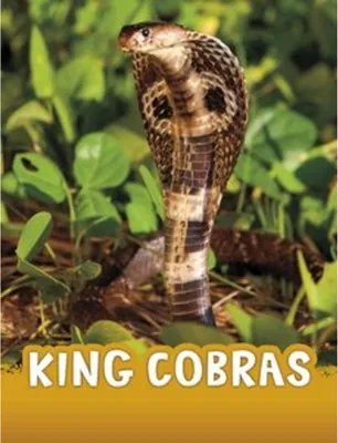 Obrázok produktu pre King Cobras