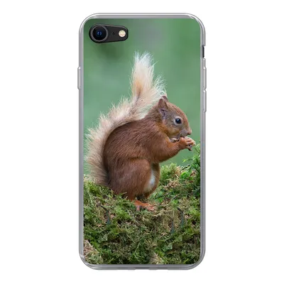 Produktbild von MuchoWow® Handyhülle Schutzhülle Hülle für iPhone 8 Eichhörnchen - Wald - Moos Silikon Softcase Handy Hülle - Schutzhaube