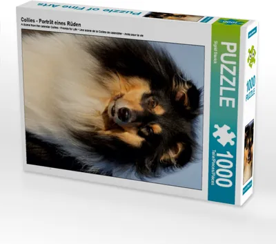 Produktbild von CALVENDO Puzzle Collies - Porträt eines Rüden | 1000 Teile Lege-Größe 64x48cm Foto-Puzzle für glückliche Stunden