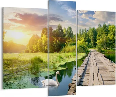 Produktbild von Bild auf Leinwand - Leinwandbild - Architektur Promenade Schwan Landschaft - 95x80cm - Wand Bild - Wanddeko - Leinwanddruck - Bilder - Kunstdruck - Leinwand bilder - Wandkunst - CB95x80-3179