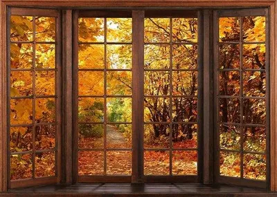 Image de Fond d'automne pour la décoration d'intérieur et les accessoires de photographie - 7 x 5 pieds