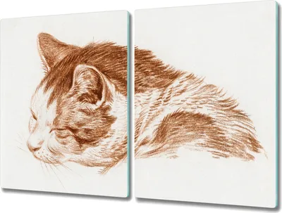 Produktbild von Coloray Hackbrett Küchenbrett Kochplattenabdeckung Schneidebrett Herdabdeckplatte 2x40x52 cm - Katze