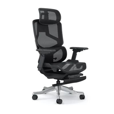 Produktbild von SkyLand Bürostuhl Ergonomisch | Schreibtischstuhl Doppel-Lendenwirbelstütze & 6D Armlehnen | Netzstuhl 145 Grad Neigbar | Drehstuhl Home Office
