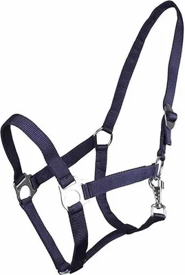 Produktbild von Halfter mit schiebeschnalle Blau Mini Shetty