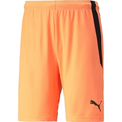 Produktbild von Puma Teamliga Shorts Kinder - Neonorange