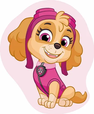 Produktbild von Paw Patrol Skye Kissen 40x32cm – Formkissen Velours Deko