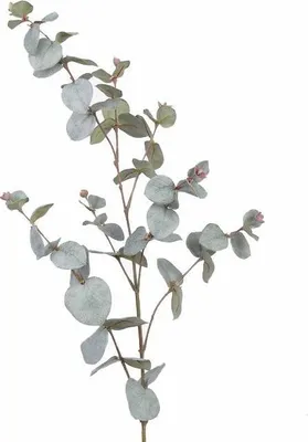 Produktbild von artplants.de Künstlicher Eucalyptus - Zweig ILMO, 30 Blätter, grau - grün, 85cm - Künstliche Blätter - Kunstzweig
