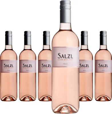 Produktbild von 6 x Weingut Salzl Rosé Cuvée trocken