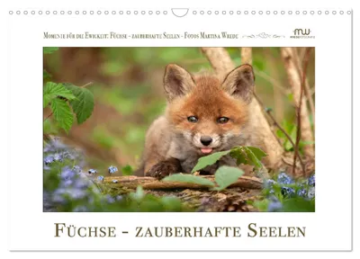Produktbild von Füchse - zauberhafte Seelen (Wandkalender 2027 DIN A3 quer), CALVENDO Monatskalender