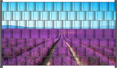 Produktbild von Wallario Zaunsichtschutz mit Motiv Lavendelfeld unter blauem Himmel für Ein- und Doppelstabmatten Zäune in der Größe 250 x 140 cm