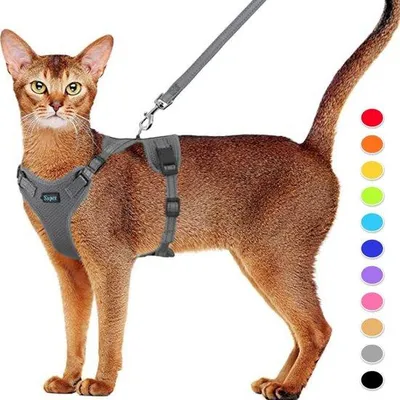 Produktbild von Famanu Katzenharness und Leinen-Set, fluchtbeständiges Katzenharness, verstellbares Katzenweste mit reflektierenden Streifen, universal für Katzen