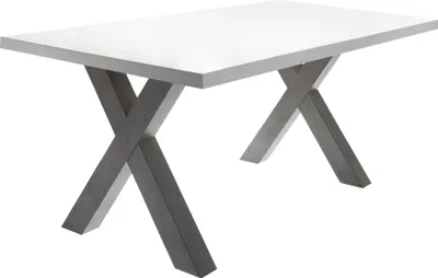 Produktbild von Esszimmertisch Eike 4 180 x 90 x 75 Esstisch Graphit/Weiß Matt Lack 13424-180