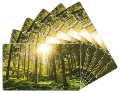 Produktbild von Wallario Frühstücksbrettchen 6er Set aus Glas, je 14 x 23 cm, mit rutschfesten Füßen, Motiv Sonnenstrahlen im Nadelwald mit Moos und Farn