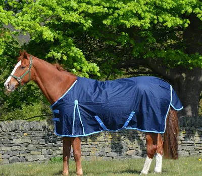 Productafbeelding van Paardendeken Middelzwaar - Waterdichte Deken - Paarden Beschermen - 200g Vulling - 600D Ripstop - Marineblauw