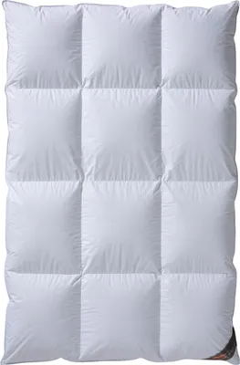 Produktbild von Daunendecke 3x4 Kassetten - 155x220 100% Daunen