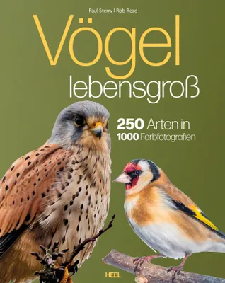 Produktbild von Vögel lebensgroß