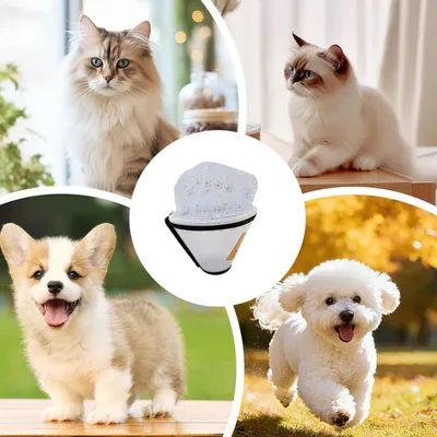 Produktbild von Verstellbarer Maulkorb aus Netzgewebe für Hunde, atmungsaktiv und kratzfest, ideal für Reisen und Spaziergänge