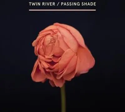 Produktbild von Passing Shade