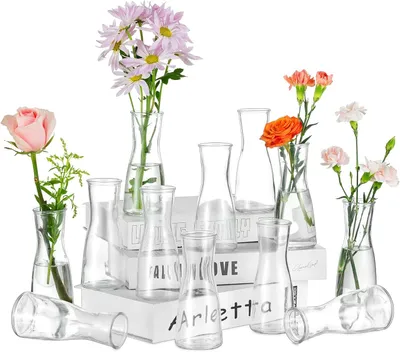 Produktbild von Glasvase 12 Stück, Tischdekoration, klein, für Wohnzimmer und Feier