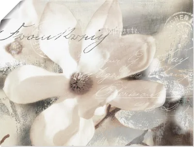 Produktbild von ARTland Poster Magnolie_Detail Größe: 60x45 cm