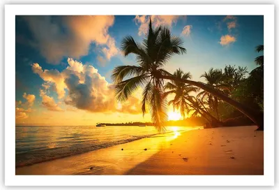 Produktbild von Poster - Poster ohne Rahmen - Meer Strand Palme - 91,5x61 cm - Wand Bild - Wanddeko - Wandbilder - Kunstposter - Wandposter - Bilder - Kunstdruck - Wanddekoration - Wandbild - P2XAA91x61-3922
