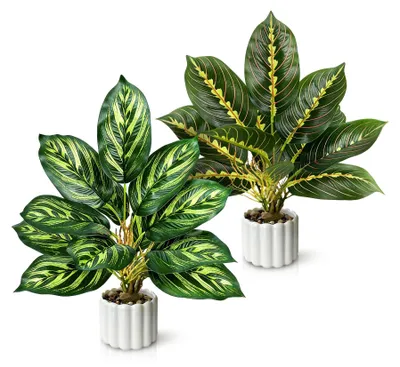 Image de 2 petites plantes artificielles, pour décorer le salon et la chambre à coucher, comme décoration d'intérieur, plantes artificielles réalistes pour le bureau, le bureau, la chambre et la salle de bains, plantes artificielles, plantes en plastique