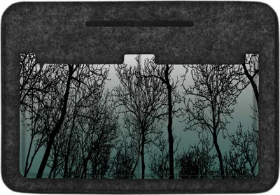 Obrázok produktu pre Bertoni Ekologický plstený organizér do kabelky - štýlový, odolný a praktický doplnok na udržiavanie poriadku 26x18x8 cm antracyt Forest Mood