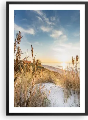 Produktbild von Gerahmtes Poster - Schwarzer Rahmen - Ähren Küste Sonne - 50x70 cm - Wand Bild - Wanddeko - Wandbilder - Kunstposter - Wandposter - Bilderrahmen - Bilder - Kunstdruck - P2BPA50x70-4653