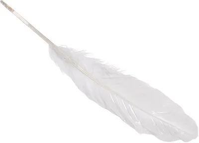 Obrázok produktu pre 5XKNORR prandell 216620000 Gän.federn16-21ws